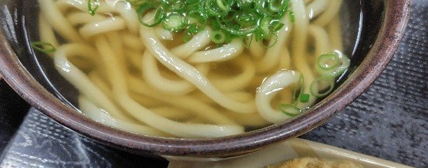 さか枝うどん 南新町店