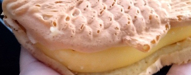たい焼き一筋たっぷり庵