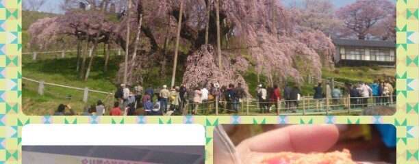 福島県三春町滝桜