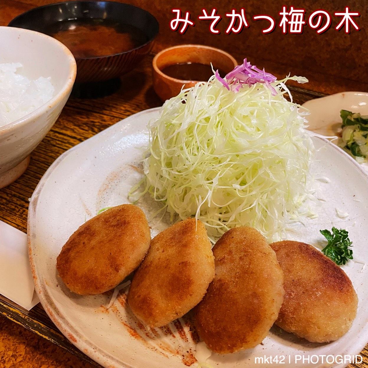 倉敷 梅 の 木