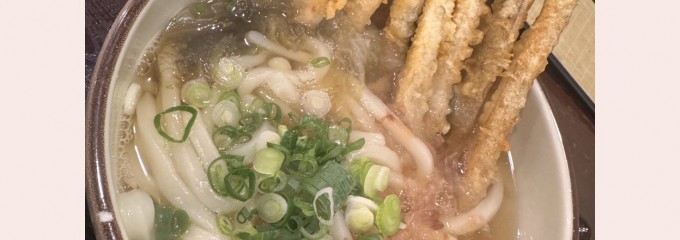 土佐うどん まるかや