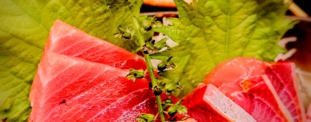 居酒屋大 ふじみ野店