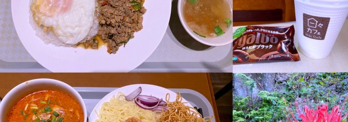 ソムオー
