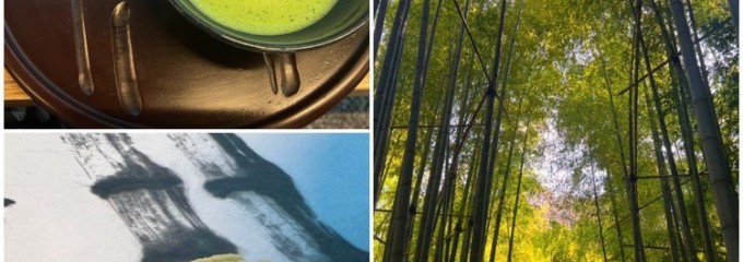 竹の庭の茶席