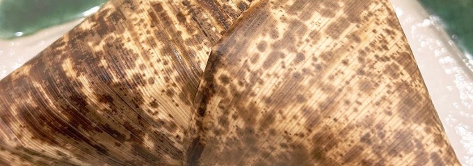 ワイン×小皿 maru