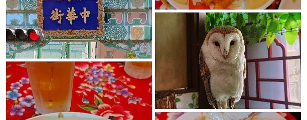 福楼