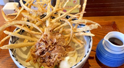 増田うどん 札幌大通周辺 中央区役所前 うどん