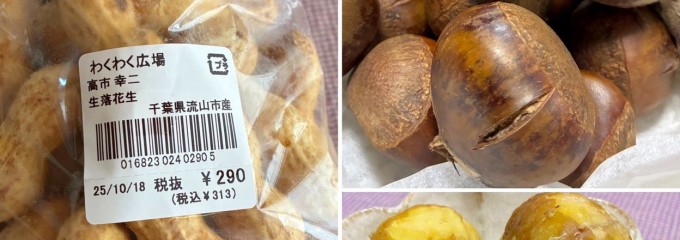 わくわく広場 イオン柏店