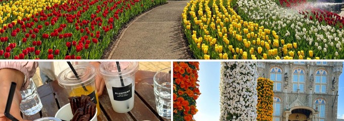 ハウステンボス　ブルー