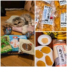 pukuhiroさんの写真