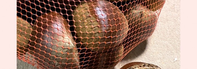 ＪＡ水郷つくば サンフレッシュつくば店