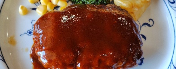 アフリカンサファリ内「サルビア」