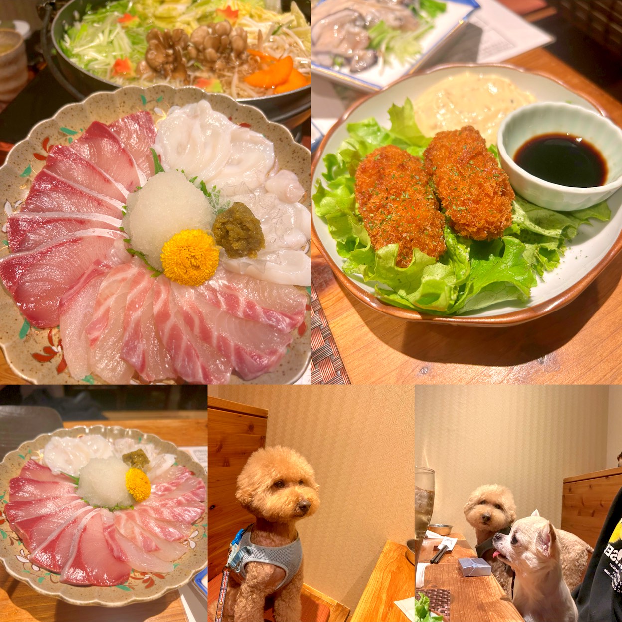 ワンちゃん店内同伴可の居酒屋さん🏮
4名で予約したのですが、コース料理で予約してないのに当日人数減るとなるとキャンセル料やら、全員来れないと1人4000円のキャンセル料、消費税とは別で5%、犬のチャージになかなかややこしいお店でした🤣