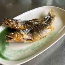 kumikobyさんの写真