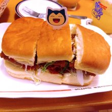 zushikoさんの写真