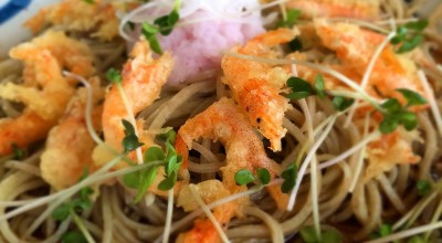 山帰来 桜井 明日香 天理 橿原神宮前 そば