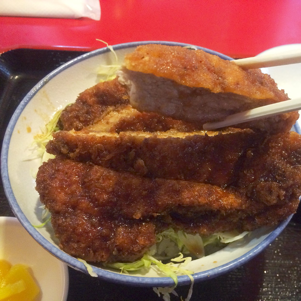 玉龍飯店 上伊那 駒ケ根 丼もの