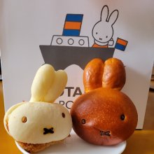 cokolaさんの写真