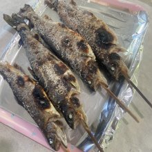 Tomopiroさんの写真