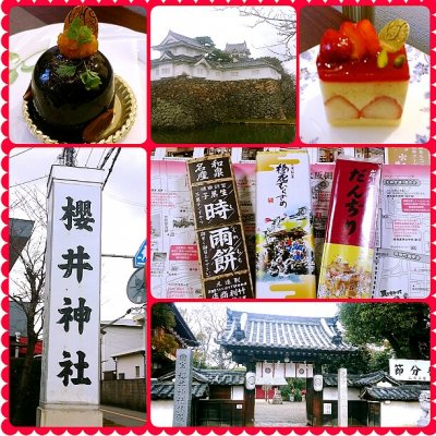 花とお菓子の工房 フランシーズ 堺市 深井 ケーキ ドーナツ 花とお菓子の工房 フランシーズ 堺市 深井 ケーキ ドーナツ
