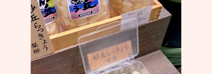 砂丘センター 見晴らしの丘