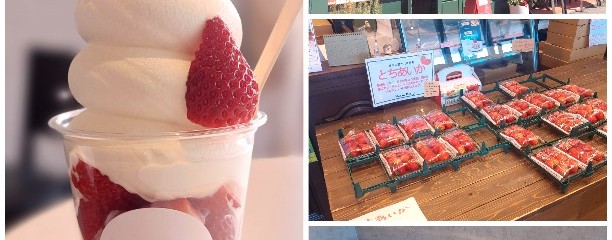 Rossa Berry (ロッサベリー)いちご農村カフェ