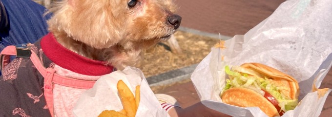 モスバーガー クロスガーデン多摩店