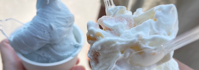 道の駅 キラメッセ室戸