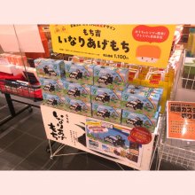 TANUKI_SHIGARAKIさんの写真