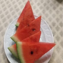 ayyrさんの写真