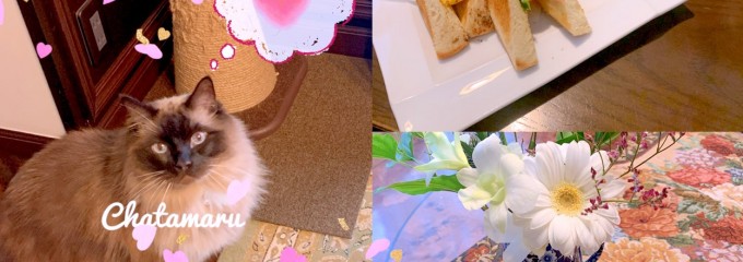 支留比亜珈琲 岩塚店