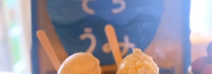 屋久島ジェラート・そらうみ