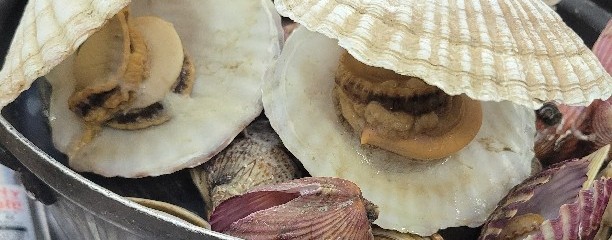 친구네조개구이
