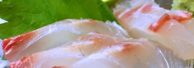 大衆地魚料理 魚まさ