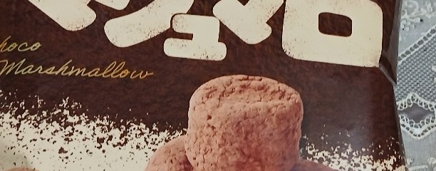 たぶん､世界一ちいさいチョコレート工場逗子ドーナツセンター