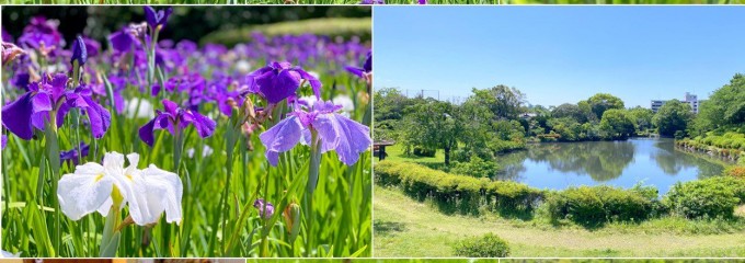 周南緑地公園 西緑地