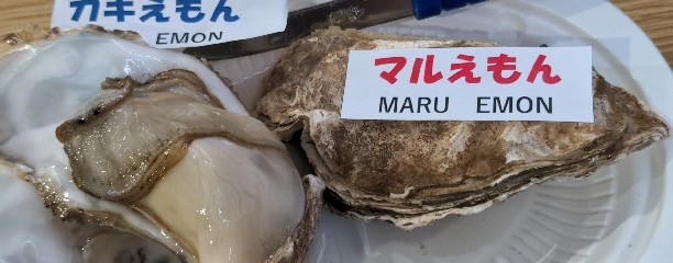 厚岸漁協直売店エーウロコ