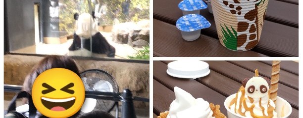 カフェカメレオン