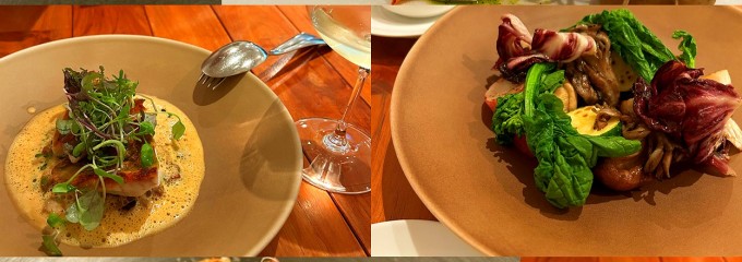 スペランツァ イタリア料理