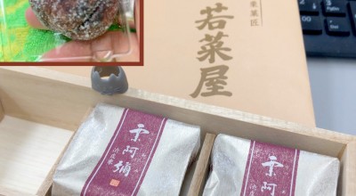 若菜屋 河原町 四条大宮 御池 二条 京都 二条 和菓子