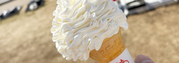 道の駅 べに花の郷おけがわ