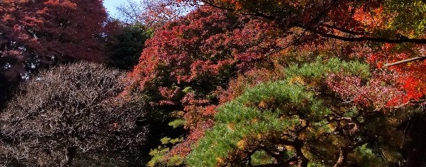 東京都庭園美術館