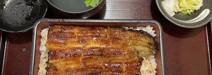 うなぎ 朝川