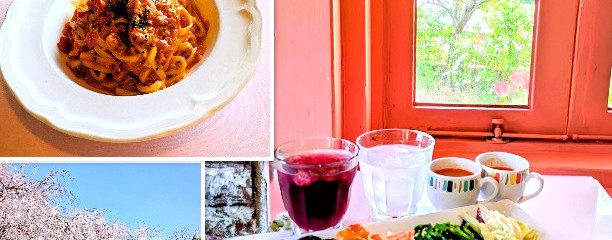 ルイジアナ ママ 京都八幡店