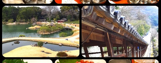 おかやまの酒ばあ　さかばやし