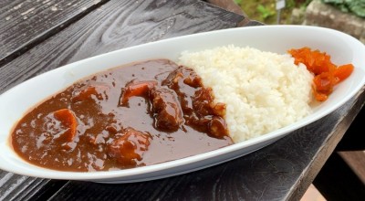 箱根強羅公園 そば