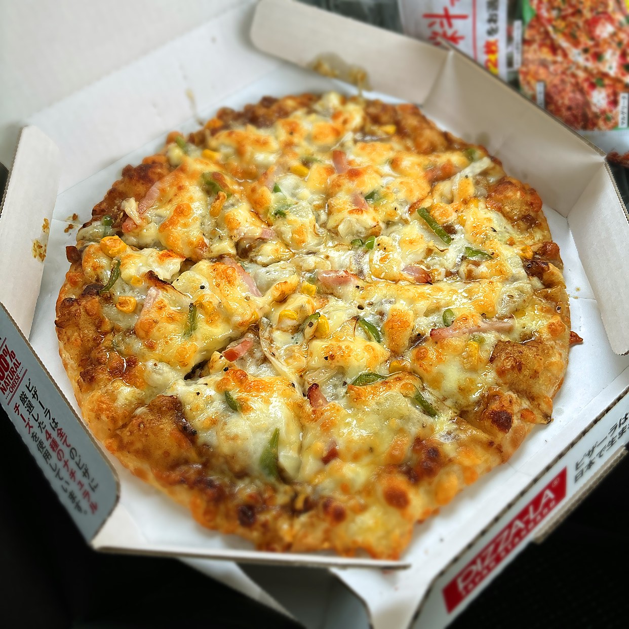 ピザーラ 岐阜 南 店