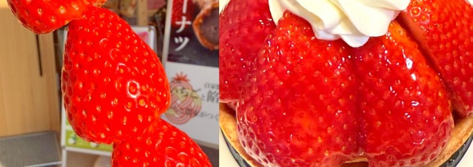 スローライフリゾート いちごの里ファーム