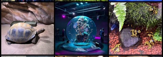 神戸ポートミュージアム(KPM)