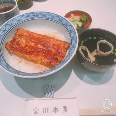 宮川本廛 宮川本店 銀座松屋店 銀座 新橋 有楽町 銀座 うなぎ どじょう 宮川本廛 宮川本店 銀座松屋店 銀座 新橋 有楽町 銀座 うなぎ どじょう